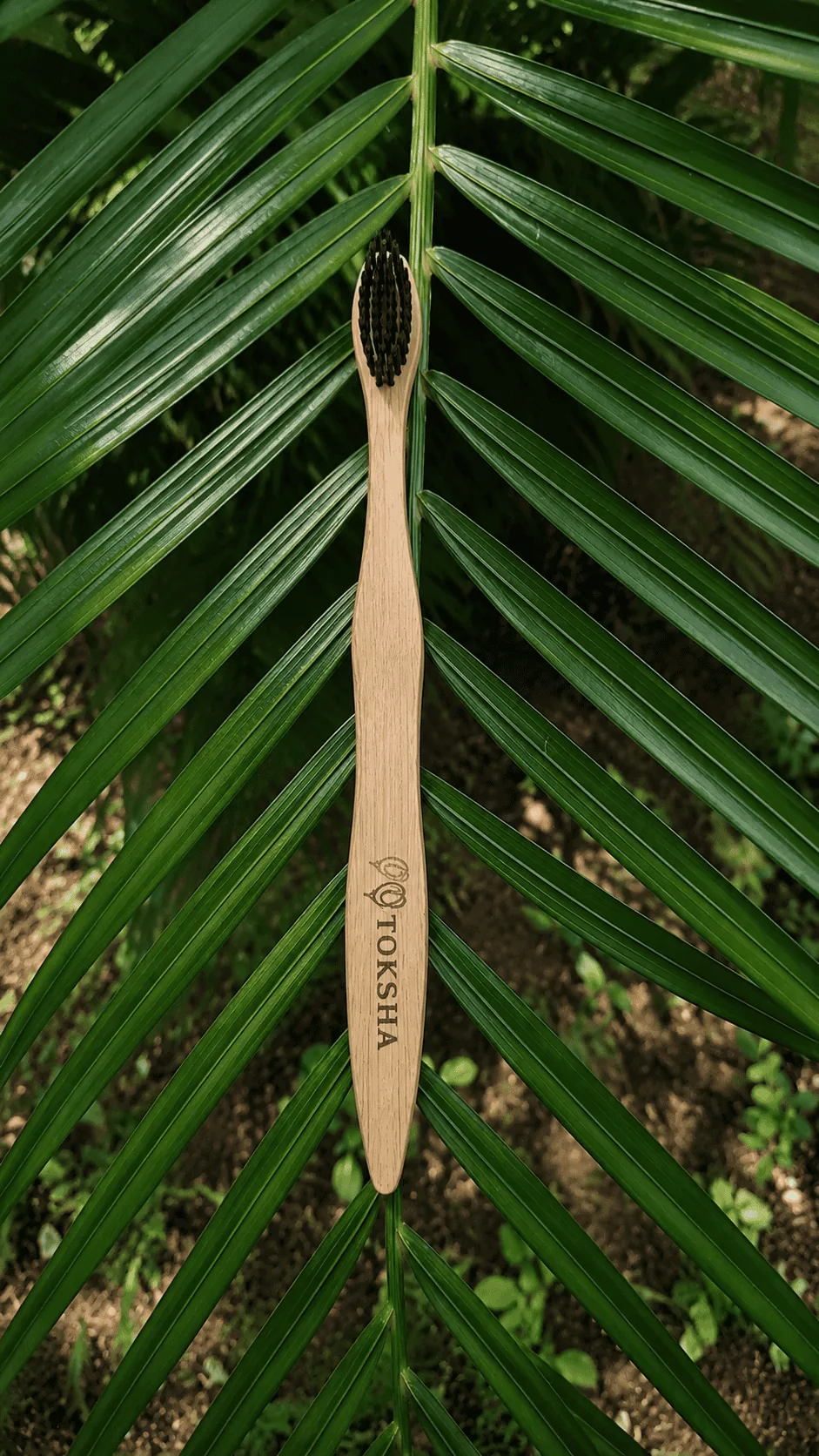 Bamboo Toothbrush Adult