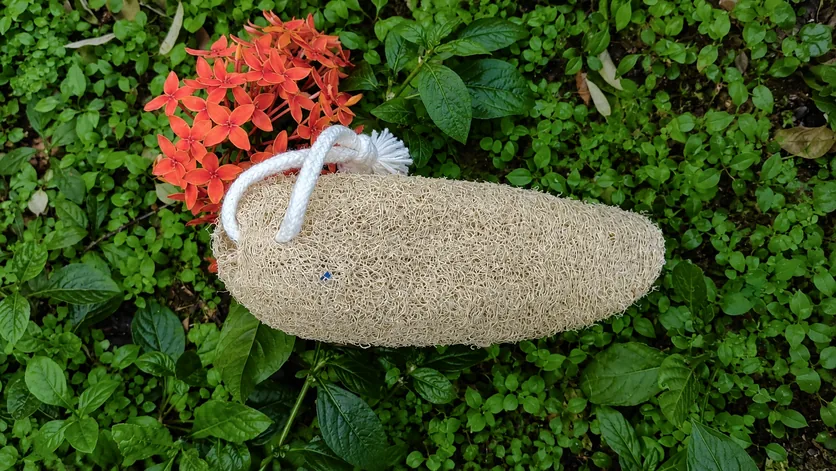 Tori Loofah