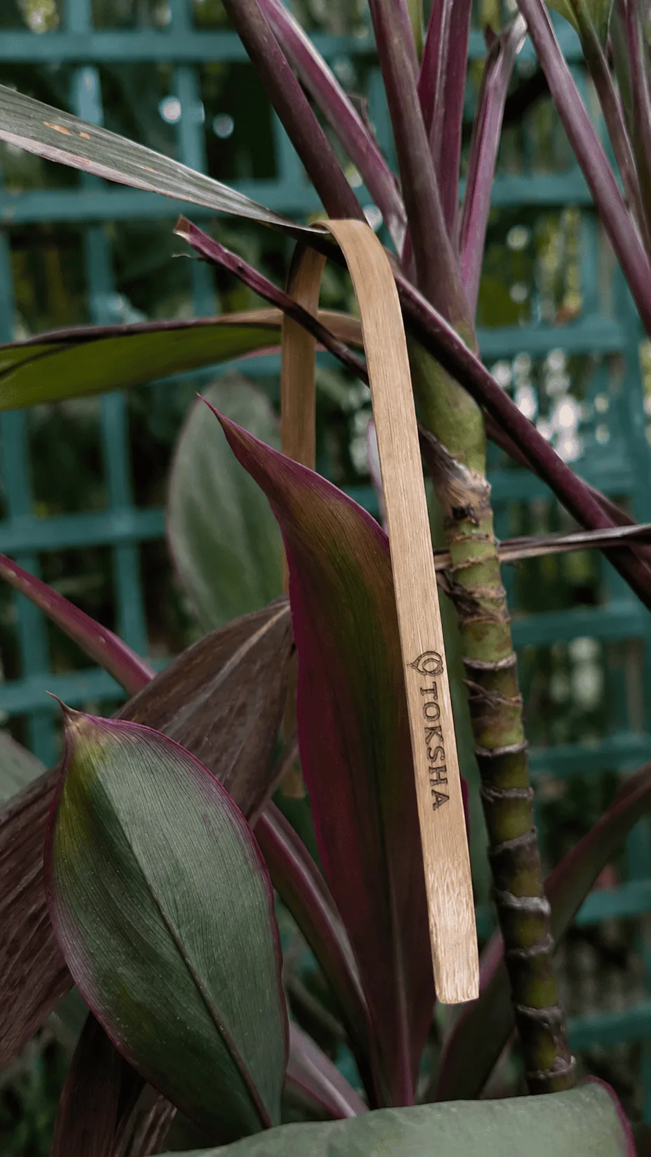 Bamboo Tongue Cleaner